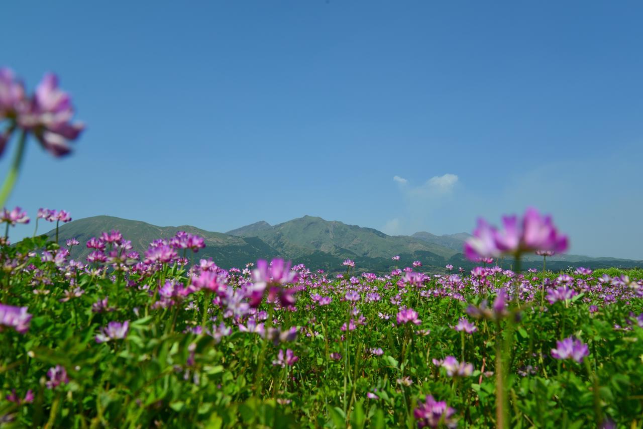 Shikino Mori Hotel Aszo Szoba fotó