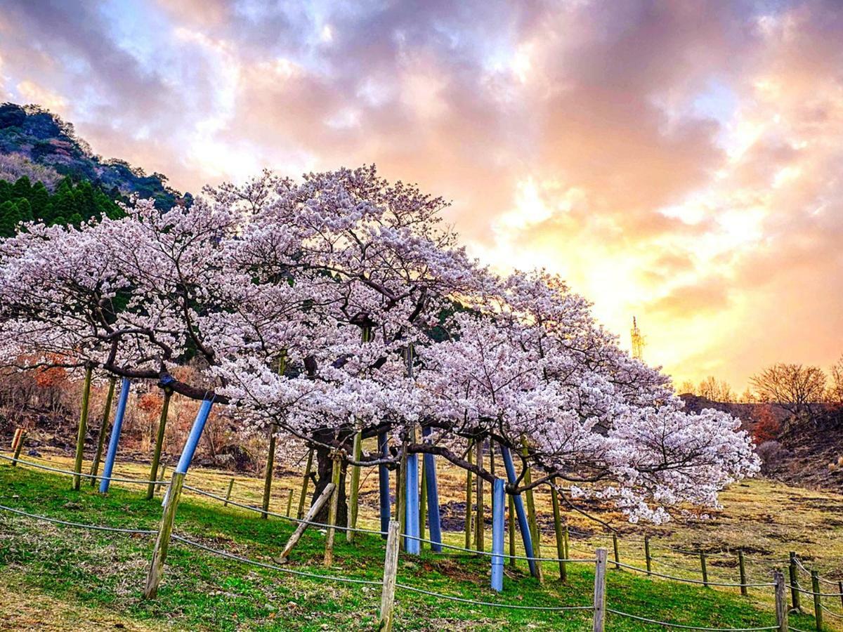 Shikino Mori Hotel Aszo Kültér fotó